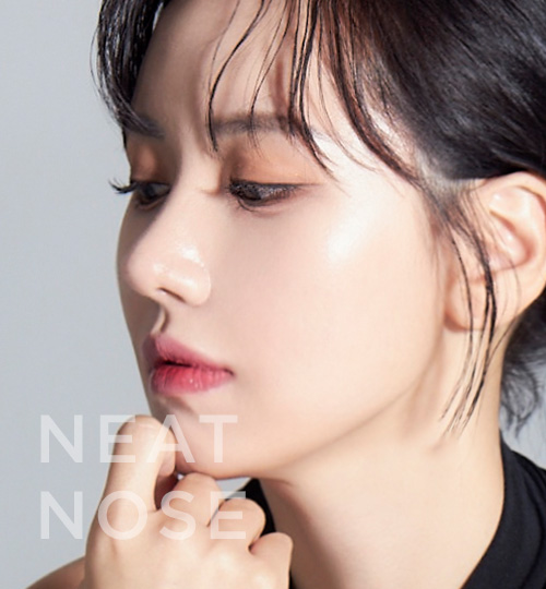 무보형물 매부리코수술